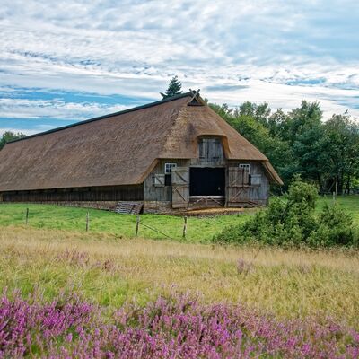 Bild vergr&ouml;&szlig;ern: Fotografie der L&uuml;neburger Heide