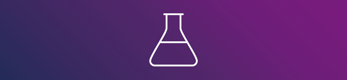 Pictogram van een laboratoriumkolf, dat staat voor een testomgeving voor de veilige evaluatie en kwaliteitsborging van softwareoplossingen.