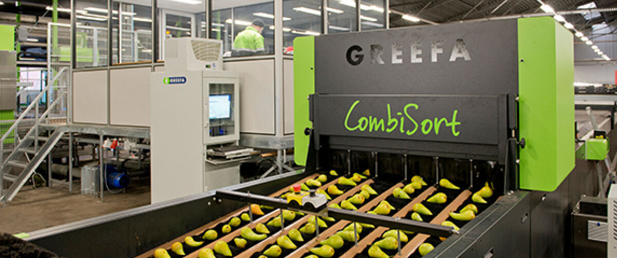 Modern fruit sorting facility inside a production hall. Green pears are transported and automatically sorted on multiple conveyor belts by a machine labeled &laquo;GREEFA CombiSort.&raquo; In the background are a glass-walled control room, technical installations, and conveyor systems. The brightly lit industrial hall conveys the highly automated nature of the fruit processing and logistics operation.