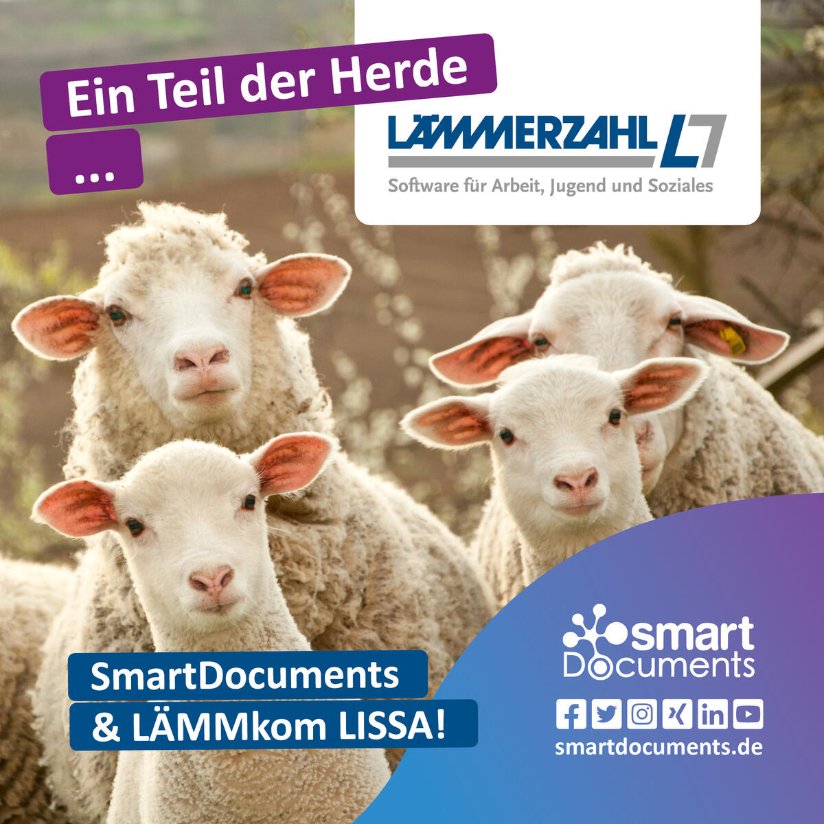 Foto L&auml;mmer mit Schriftzug: SmartDocuments: Ein Teil der Herde ... Unsere Partnerschaft mit L&Auml;MMERZAHL und den Firmenlogos der L&Auml;MMERZAHL GmbH sowie SmartDocuments.